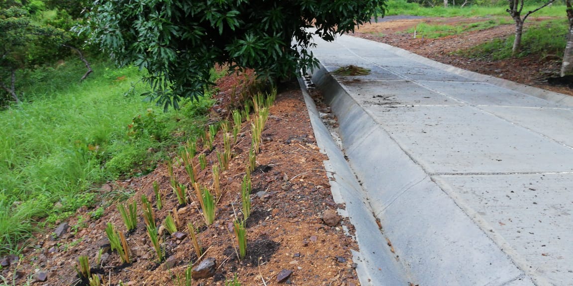 Drainage project image 3