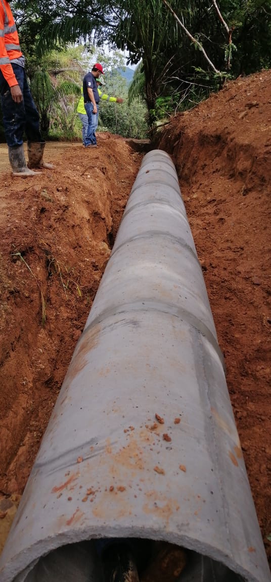 Drainage