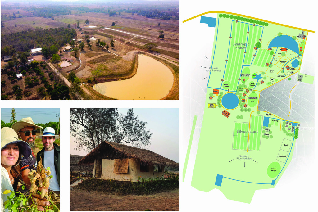 Landscape integration