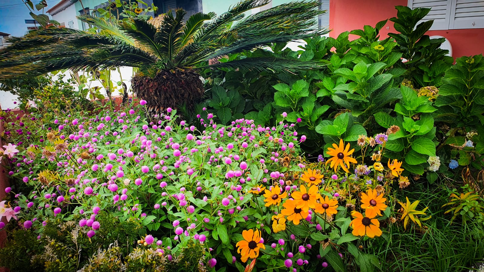 Flower Power Islands